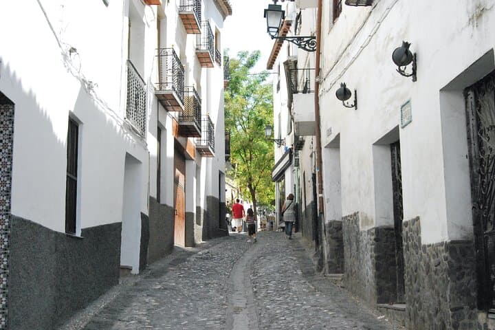 Granada Highlights: Albaicin and Sacromonte Private Tour