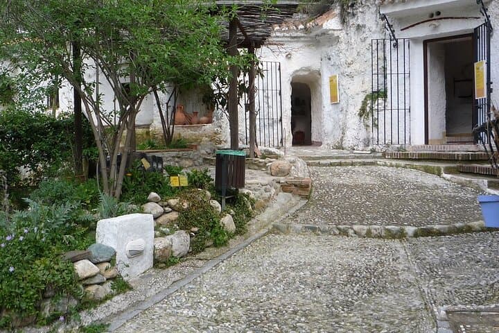 Granada Highlights: Albaicin and Sacromonte Private Tour
