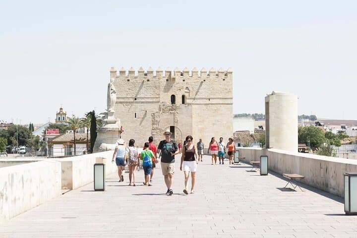 Madrid to Cordoba and Seville Tour the Andalusia Highlights