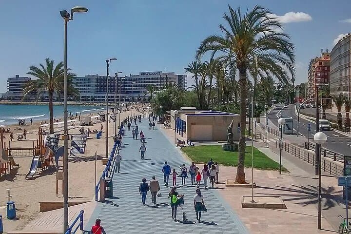 Private Alicante Guided Tour and Winery Visit