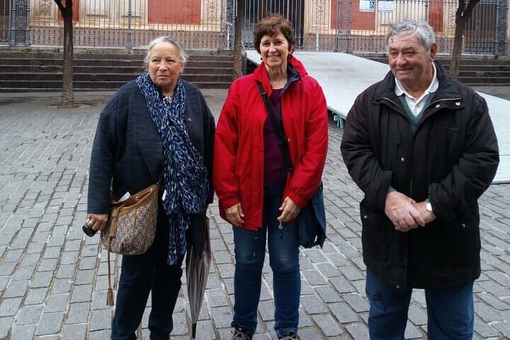 Seville Must See Attractions Walking Tour With A Guide
