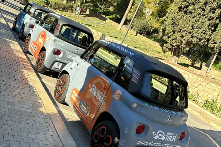 Malaga Highlights by Electric Car with Port Pick up