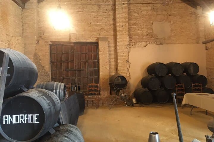 Wine Tasting in an Andalusian Winery