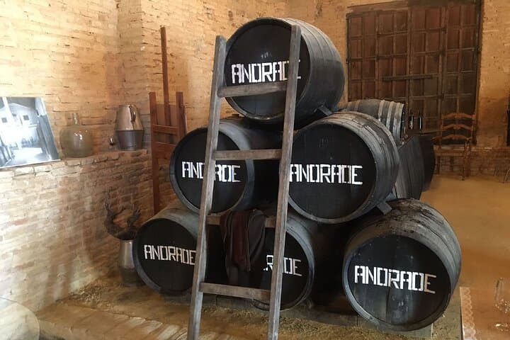 Wine Tasting in an Andalusian Winery