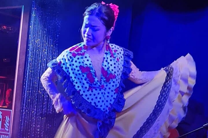 Flamenco Benalmadena Show