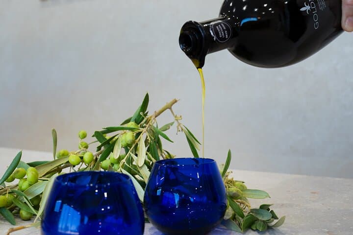 Olive Oil and Winery Tour from Zaragoza City
