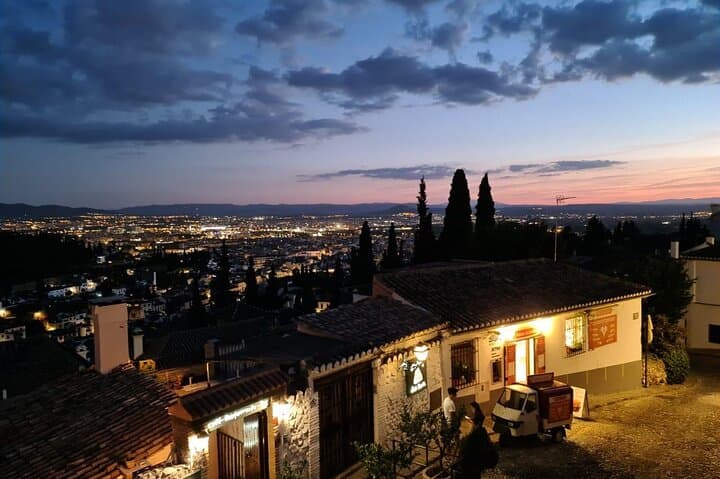Private tour of the Granada Alhambra (tickets included)