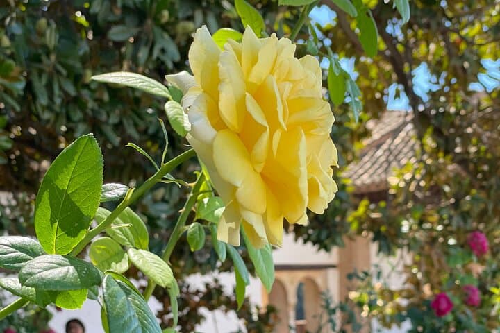 Luxury Private Alhambra and Generalife Tour from Malaga