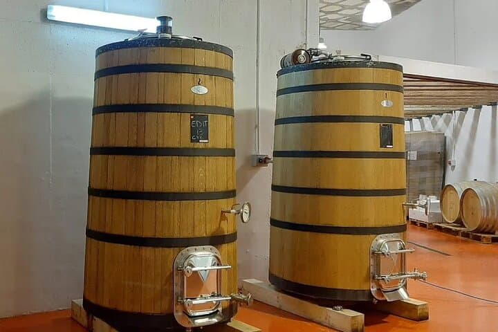 Ecological Tour of the Winery in Ronda with Tasting