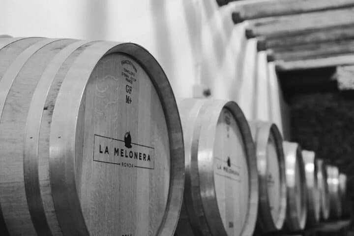 Ecological Tour of the Winery in Ronda with Tasting