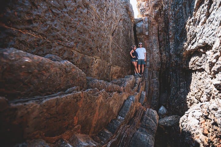 Triassic Paradise