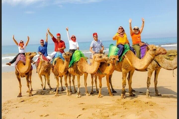 Authentic Private Tangier Tour from Seville Camel Ride & Lunch