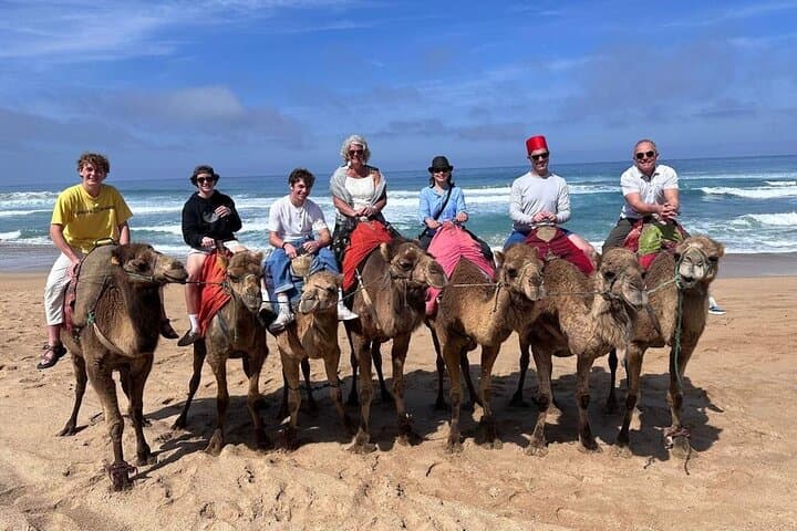 Authentic Private Tangier Tour from Marbella Camel Ride & Lunch