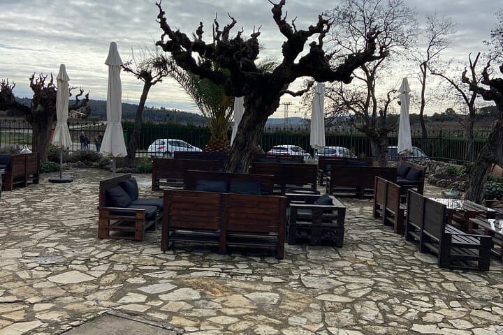 Wine-tasting tour: transfer with lunch (optional)