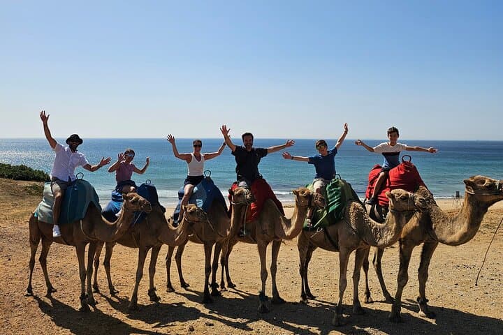 Camel Ride Tangier