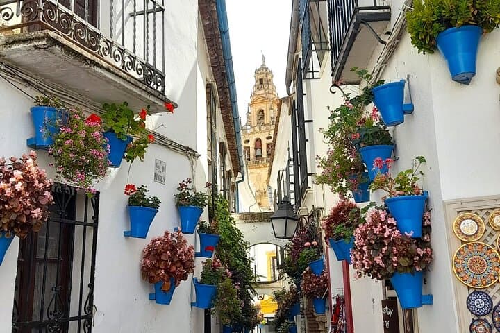 Guided walking tour in Cordoba