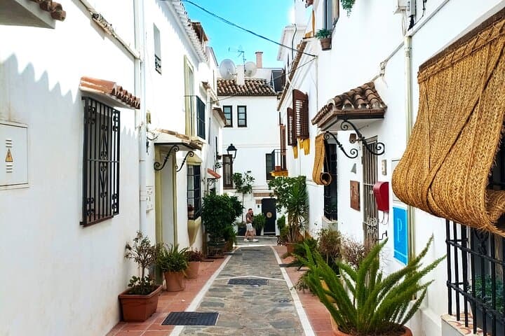 From Malaga: Private trip in Gibraltar and Marbella