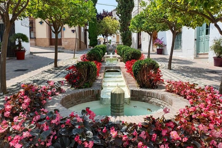 Estepona private trip with hotel or shore pickup from Marbella
