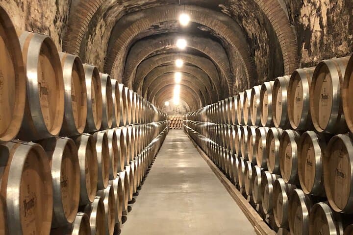 Ribera del Duero Wine Tour from Madrid with 2 Wineries & Tastings