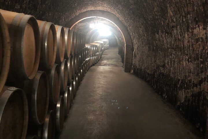 Ribera del Duero Wine Tour from Madrid with 2 Wineries & Tastings