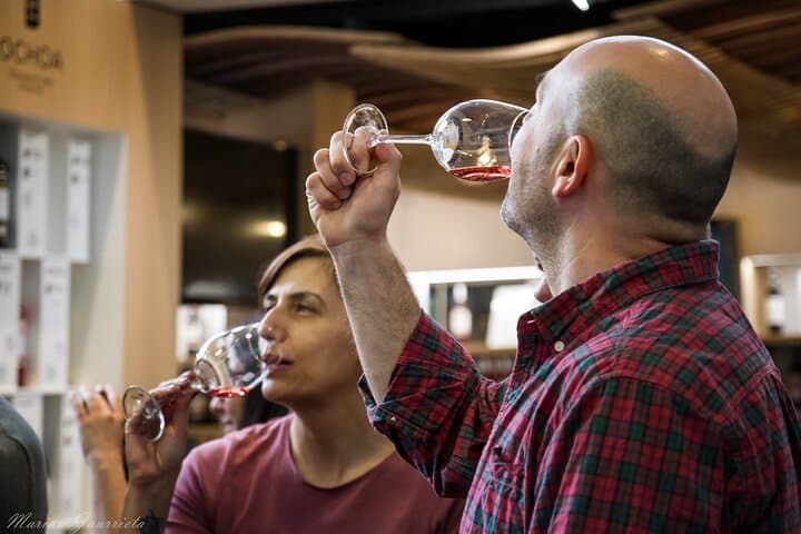 Private Rioja wine tour: winery & traditional lunch from Bilbao
