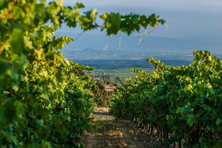 La Rioja wines and Laguardia tour from Bilbao