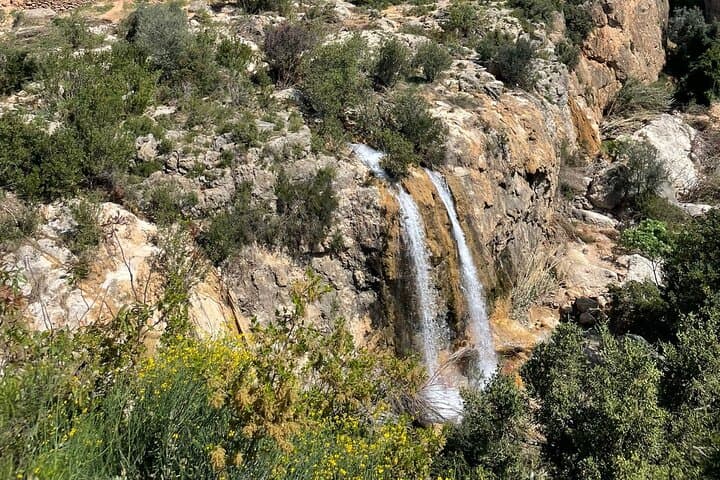 Shared Hike Tour in Valencia