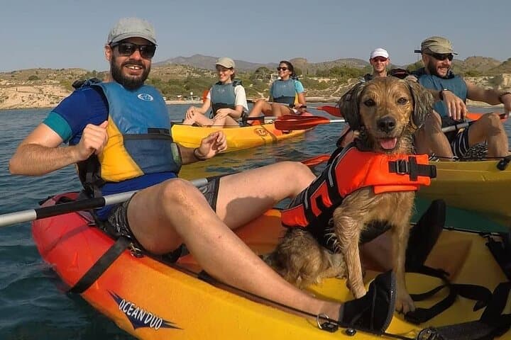 Kayaking with Dogs