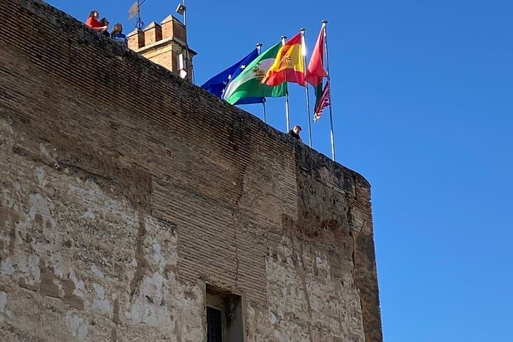 Alhambra Private Tour from Port of Motril