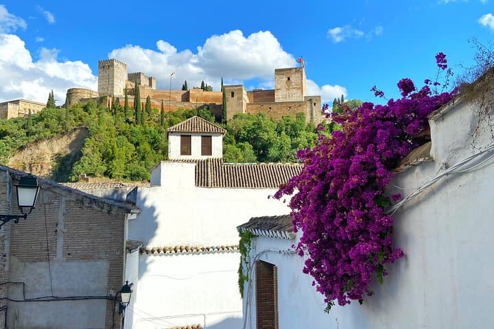 Granada Essential : Private Tour Albaicín and Centro + Oil Tasting