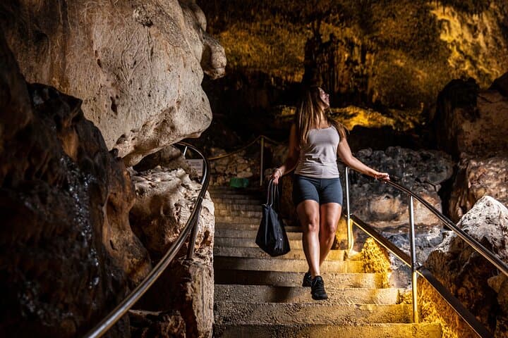 Caves of Drach Half-Day Tour with Boat Trip and Music Concert