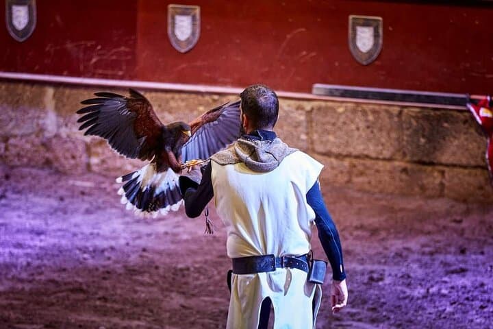 Medieval Castle with dinner from Puerto de la Cruz in TenerifeSur