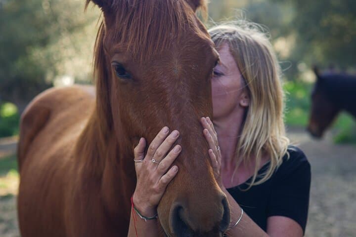 Meditation Activity: Mindfulness with Horses in Zahora