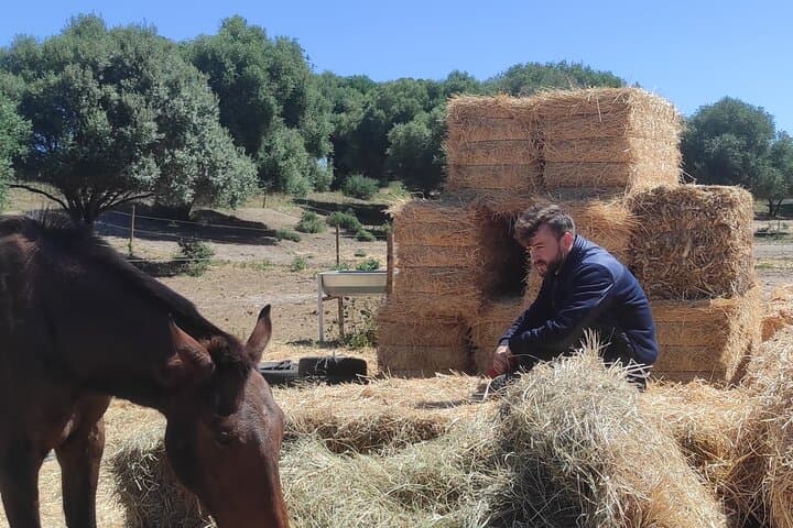 Meditation Activity: Mindfulness with Horses in Zahora