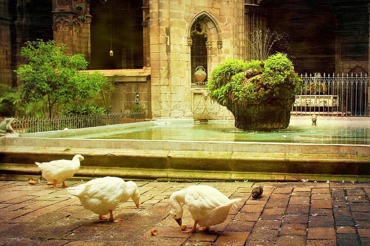 Barcelona Cathedral: Ticket, Guided Tour, Terrace + VR Experience