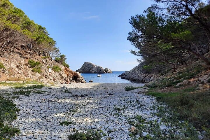 Boat Tour Around the Medes Islands and the Foradada Rock