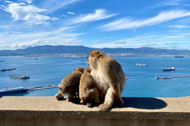 Gibraltar One Day-Trip from Granada