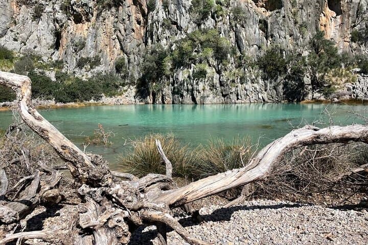 Hike the canyon of Torrent de Pareís