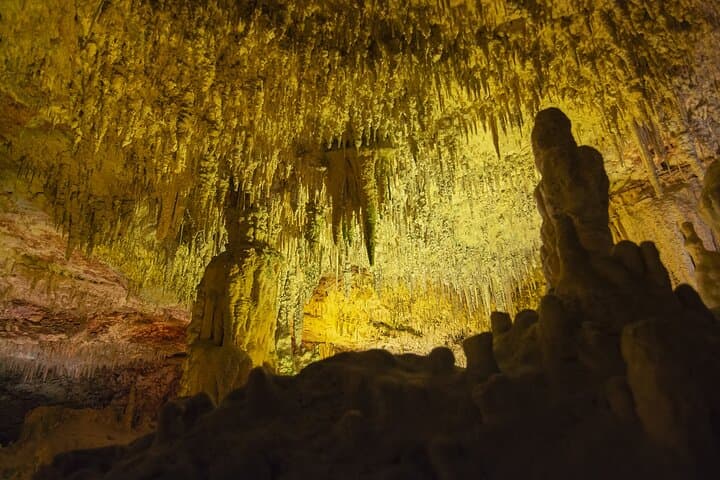 Caves Drach Boat Trip from Alcudia with Return Bus and Tickets