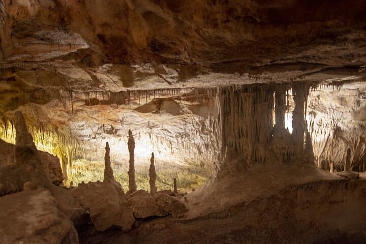 Caves Drach Boat Trip from Alcudia with Return Bus and Tickets