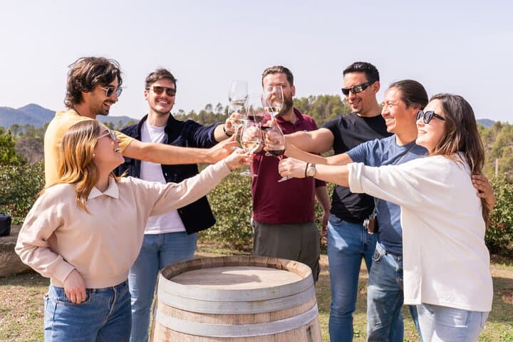 Montserrat Full Day Tour with Castle-Winery Lunch & Wine Tasting