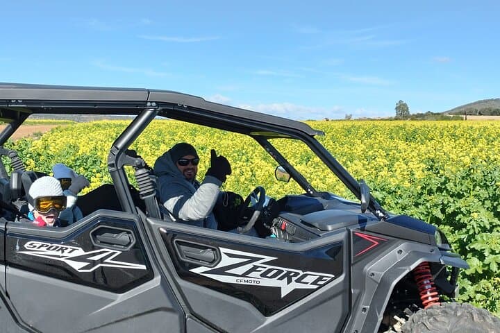 Buggy tour of Cala Bona and Arta and the Capdepera Lighthouse