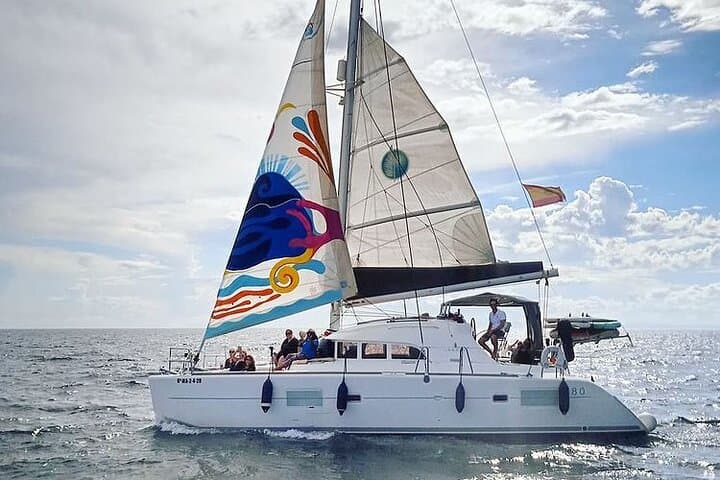 Marbella 2 - hour Catamaran Group Excursion with Dolphin Watching