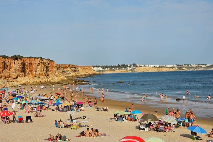 Coastal White Villages and beaches private day trip from Seville
