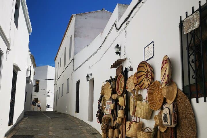 Coastal White Villages and beaches private day trip from Seville