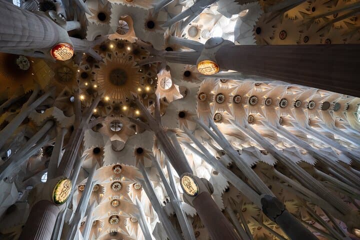 Barcelona Sagrada Familia and Guell Park Private Tour