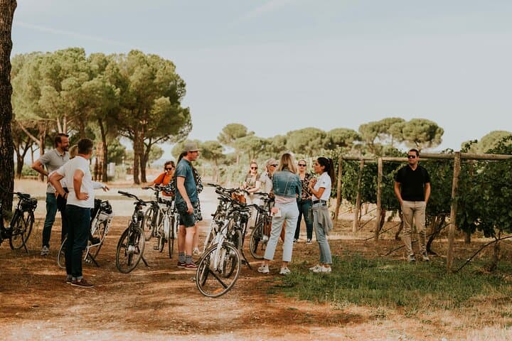 E-bike tour & Picnic in an Exclusive winery Estate in Valladolid
