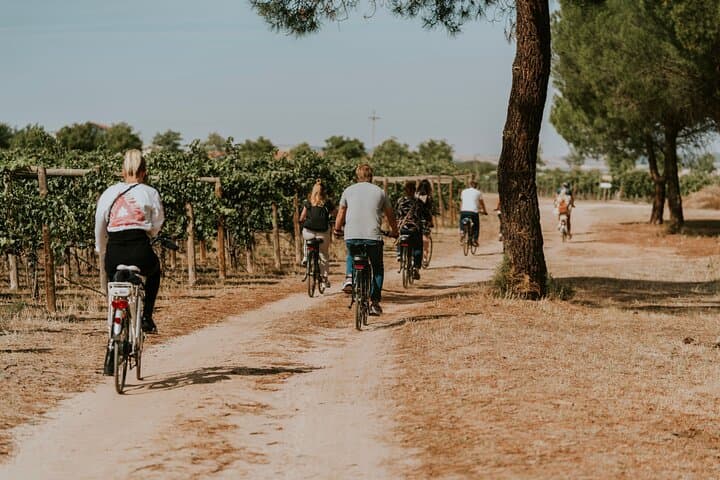 E-bike tour & Picnic in an Exclusive winery Estate in Valladolid