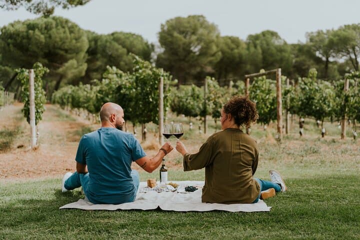 E-bike tour & Picnic in an Exclusive winery Estate in Valladolid