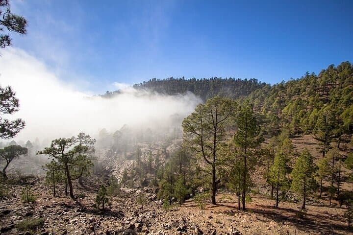 Full Day Small Group Tour to Masca and Teide From North Tenerife